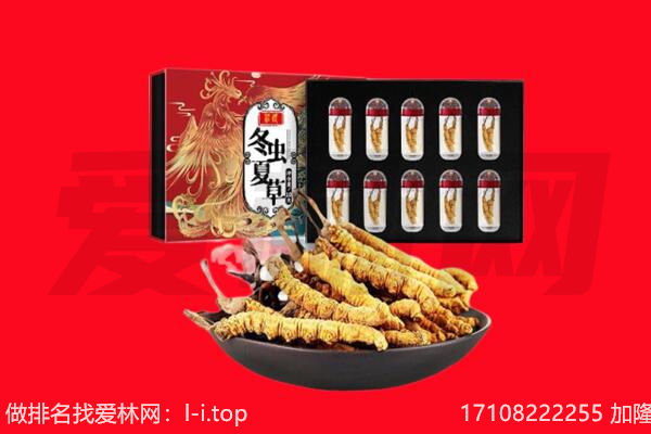 天津滨海新区回收虫草.jpg